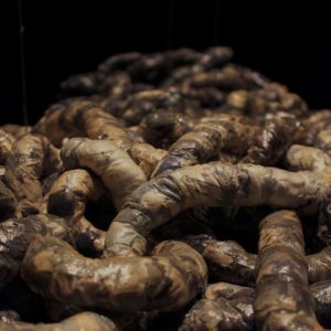 Marie deSousa - Cloud