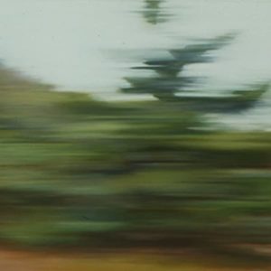 Marie deSousa - Moving Landscape #1