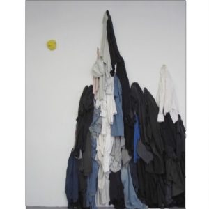 Marie deSousa - Transformer