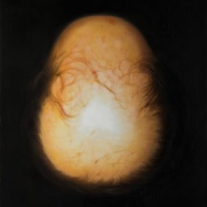 Marie deSousa - Portraits